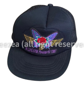 bz_1992_time_010_wm.png