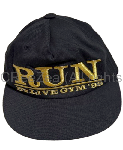 bz_1993_run_010.png