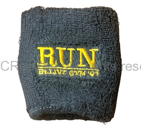 bz_1993_run_011.png